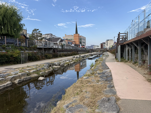 업로드된 이미지