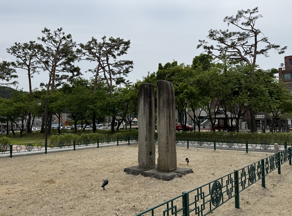 업로드된 이미지
